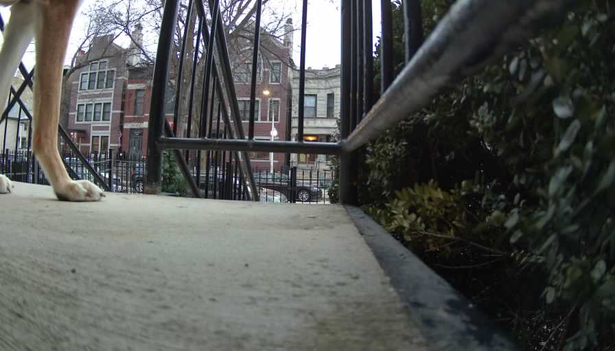 Reolink Camera Two_01_Reolink Home Hub One_20250205071129.jpg